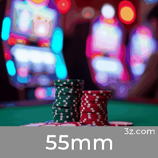 Experimente os Benefícios de Login Seguro no 55mm